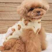 ヒメ日記 2026/02/06 14:33 投稿 さりあ アイスキャンディーラブ