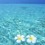 ヒメ日記 2025/08/08 11:10 投稿 ゆりあ アイスキャンディーラブ