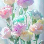 ヒメ日記 2025/12/29 23:50 投稿 ゆりあ アイスキャンディーラブ