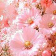 ヒメ日記 2026/03/28 00:03 投稿 ゆりあ アイスキャンディーラブ