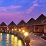 ヒメ日記 2025/08/03 00:50 投稿 このは アイスキャンディーラブ