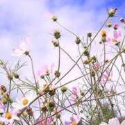 ヒメ日記 2025/09/29 23:50 投稿 このは アイスキャンディーラブ