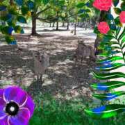 ヒメ日記 2025/05/02 11:12 投稿 ゆきの ラブコレ