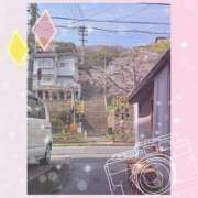 ヒメ日記 2026/04/05 11:36 投稿 ゆきの ラブコレ