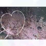 ヒメ日記 2026/04/08 11:17 投稿 ゆきの ラブコレ