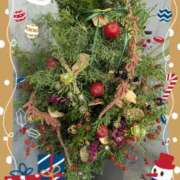 ヒメ日記 2024/12/12 22:13 投稿 ゆみ 横浜人妻セレブリティ（ユメオト）