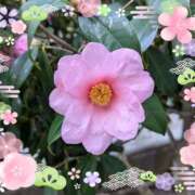 ヒメ日記 2025/03/14 23:05 投稿 ゆみ 横浜人妻セレブリティ（ユメオト）