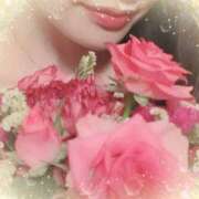 ヒメ日記 2025/04/02 19:40 投稿 ゆみ 横浜人妻セレブリティ（ユメオト）