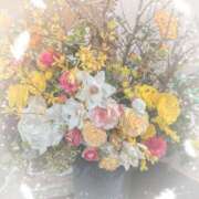 ヒメ日記 2025/04/13 12:37 投稿 ゆみ 横浜人妻セレブリティ（ユメオト）