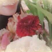 ヒメ日記 2025/04/22 09:08 投稿 ゆみ 横浜人妻セレブリティ（ユメオト）