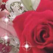 ヒメ日記 2025/05/08 23:22 投稿 ゆみ 横浜人妻セレブリティ（ユメオト）