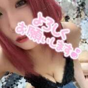 ヒメ日記 2026/09/12 21:48 投稿 あおい 奴隷コレクション