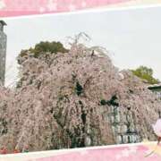 ヒメ日記 2025/03/29 23:08 投稿 うみ ホテピン