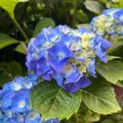 ヒメ日記 2025/06/03 10:22 投稿 なみえ 秘密倶楽部 凛 錦糸町店