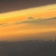 ヒメ日記 2025/11/11 21:21 投稿 なみえ 秘密倶楽部 凛 錦糸町店