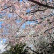 ヒメ日記 2026/03/28 18:57 投稿 れいか チアガール