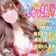 ヒメ日記 2025/03/28 14:13 投稿 【体験】ひな バレンタイン(福山)