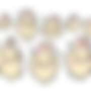 ヒメ日記 2025/06/12 07:30 投稿 くるみ あふたーすくーる本店