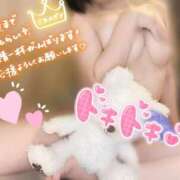 ヒメ日記 2025/10/29 06:30 投稿 くるみ あふたーすくーる本店