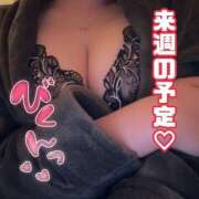 ヒメ日記 2025/11/15 22:03 投稿 くるみ あふたーすくーる本店