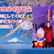 ヒメ日記 2026/03/31 18:30 投稿 くるみ あふたーすくーる本店