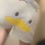 ヒメ日記 2026/04/29 07:28 投稿 くるみ あふたーすくーる本店