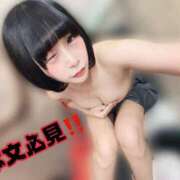 ヒメ日記 2026/10/15 08:29 投稿 くるみ あふたーすくーる本店