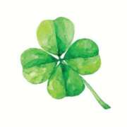 ヒメ日記 2025/03/05 09:17 投稿 にちか 奥様の実話 なんば店