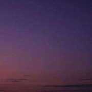 ヒメ日記 2025/03/12 06:18 投稿 にちか 奥様の実話 なんば店