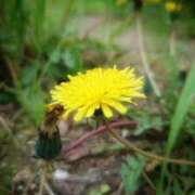 ヒメ日記 2025/03/27 14:43 投稿 にちか 奥様の実話 なんば店