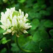 ヒメ日記 2025/04/16 14:44 投稿 にちか 奥様の実話 なんば店