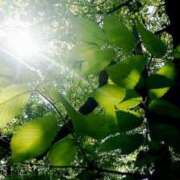 ヒメ日記 2025/04/19 13:54 投稿 にちか 奥様の実話 なんば店