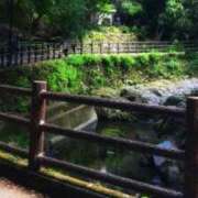 ヒメ日記 2025/05/16 06:02 投稿 にちか 奥様の実話 なんば店