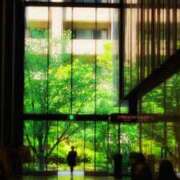 ヒメ日記 2025/06/05 07:39 投稿 にちか 奥様の実話 なんば店