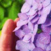 ヒメ日記 2025/06/17 06:03 投稿 にちか 奥様の実話 なんば店