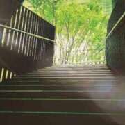 ヒメ日記 2025/06/25 05:58 投稿 にちか 奥様の実話 なんば店