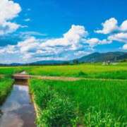 ヒメ日記 2025/07/15 06:01 投稿 にちか 奥様の実話 なんば店