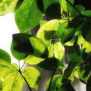 ヒメ日記 2025/09/08 13:36 投稿 にちか 奥様の実話 なんば店