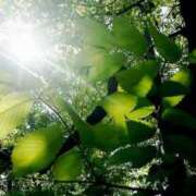 ヒメ日記 2025/10/03 06:21 投稿 にちか 奥様の実話 なんば店