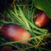 ヒメ日記 2025/10/28 06:09 投稿 にちか 奥様の実話 なんば店