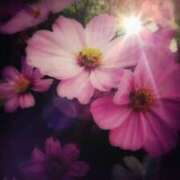 にちか ✽趣味の写真✽ 奥様の実話 なんば店