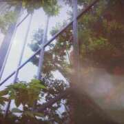 ヒメ日記 2026/01/13 06:05 投稿 にちか 奥様の実話 なんば店