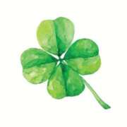 ヒメ日記 2026/04/02 19:06 投稿 にちか 奥様の実話 なんば店