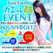 ヒメ日記 2025/06/07 06:21 投稿 ラム【ハイクオリティ美尻美女】 Beppin house