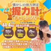 ヒメ日記 2026/04/08 12:00 投稿 ラム【ハイクオリティ美尻美女】 Beppin house