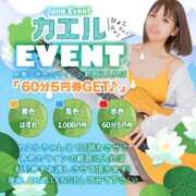 ヒメ日記 2026/06/05 04:20 投稿 ラム【ハイクオリティ美尻美女】 Beppin house