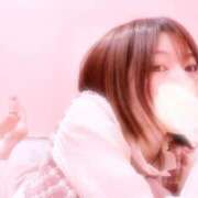 ヒメ日記 2025/02/16 15:30 投稿 葵-あおい- マリン千姫