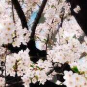 ヒメ日記 2025/04/13 11:54 投稿 葵-あおい- マリン千姫