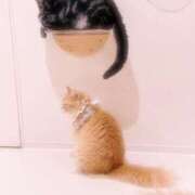 ヒメ日記 2025/09/27 13:25 投稿 葵-あおい- マリン千姫