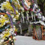 ヒメ日記 2025/05/10 18:56 投稿 乃風-のかぜ- マリン千姫